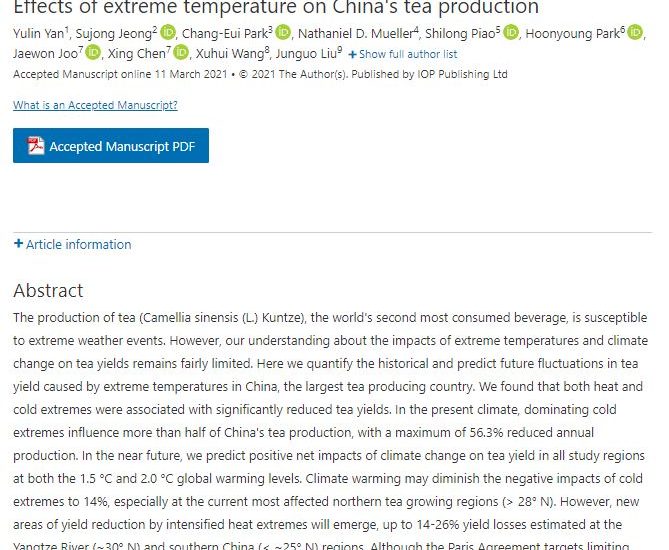 기후변화에 따른 차 영향 논문 발표