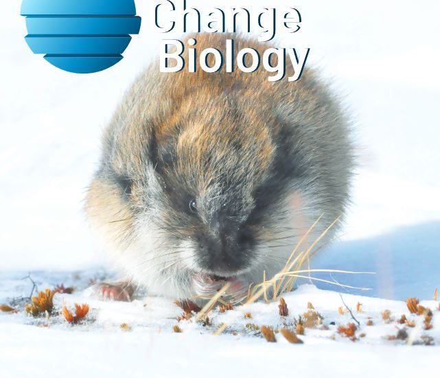 GCB 에디터 임명